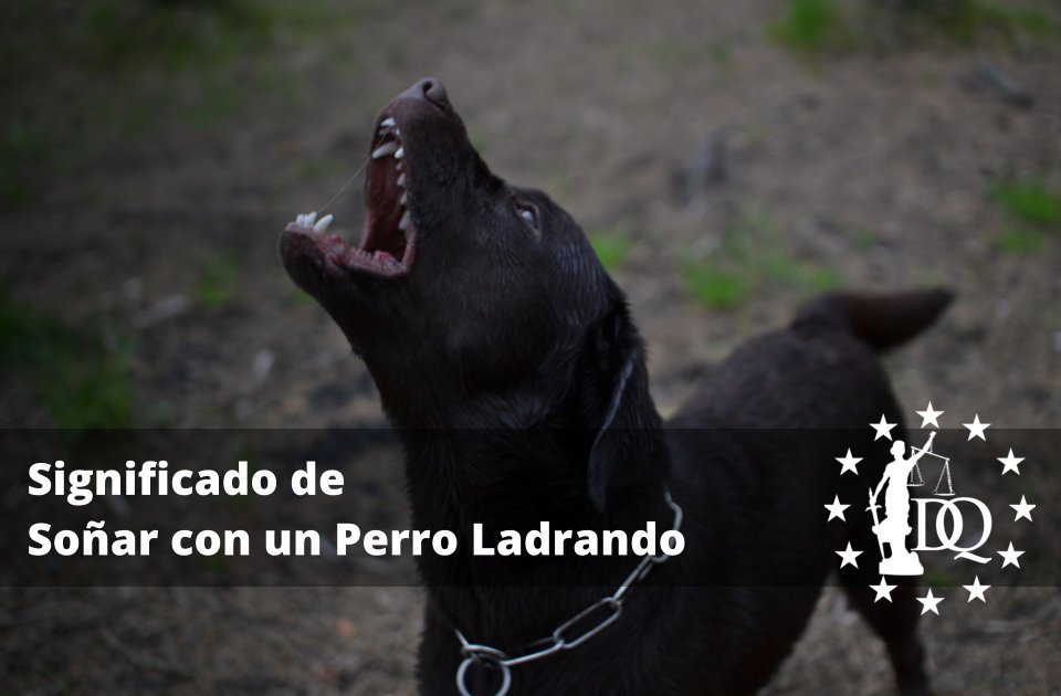 Significado de Soñar con un Perro Ladrando