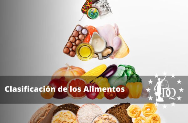 Clasificación de los Alimentos