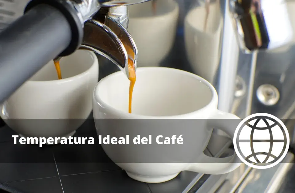 Temperatura Ideal del Café Extracción Perfecta en Cada Método