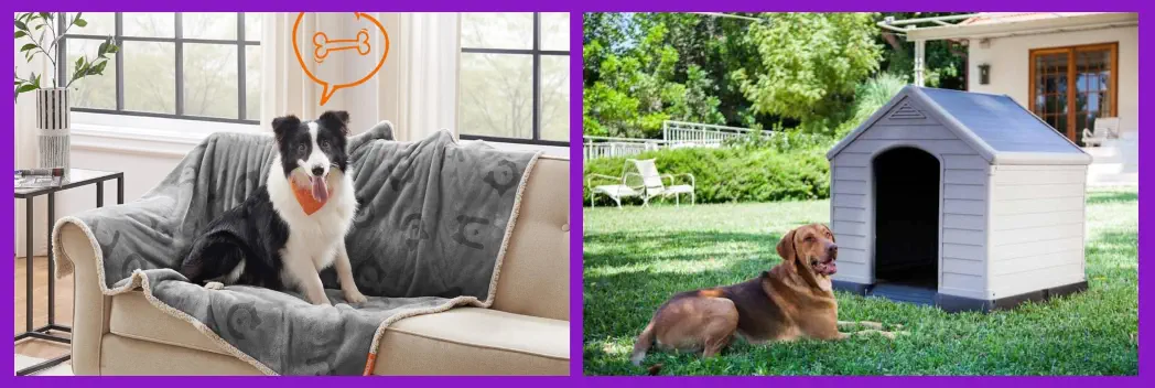 manta y caseta como accesorios para perros