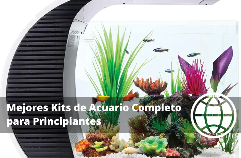 Mejores Kits de Acuario Completo para Principiantes